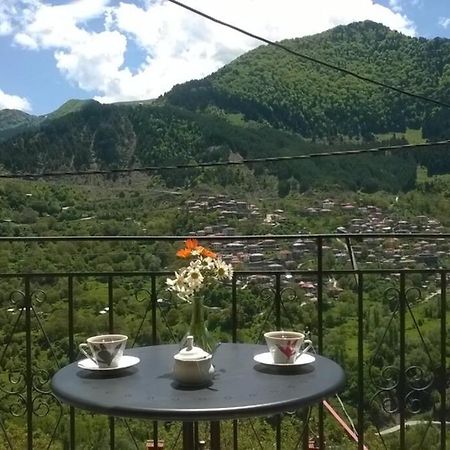 Apartamento Baou House Metsovo Exterior foto