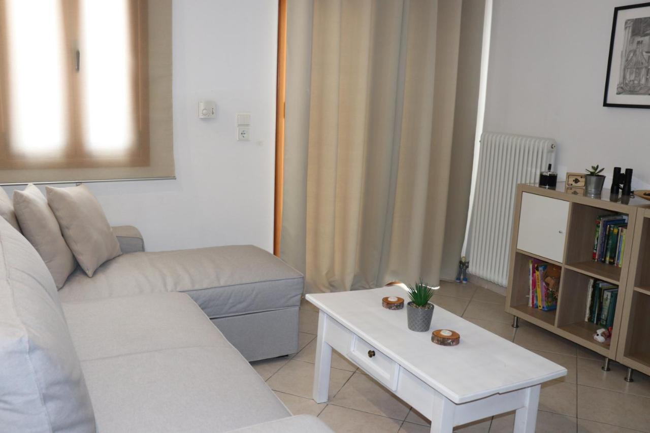 Apartamento Baou House Metsovo Exterior foto