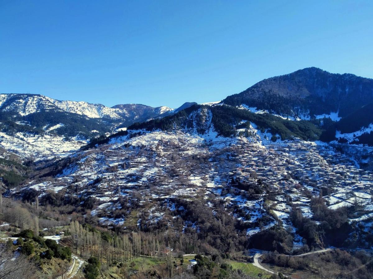 Apartamento Baou House Metsovo Exterior foto
